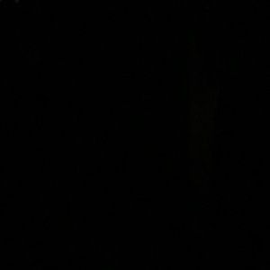 Meet your Posher, Melvin